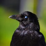 Hvordan man bruger en slagskruenøgle – Trin-for-trin instruktioner