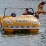 Sådan forenkler Sprehns brolæggerhammer dit arbejde med at lægge fliser