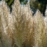 10 innovative TV borde, der vil revolutionere din stue