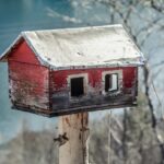 De bedste materialer til hundetæpper: En oversigt