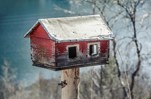 Få din have til at summe af liv: Sådan tiltrækker du flere fugle med et fuglehus