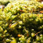 Kan kunstig intelligens give mere retfærdige elevvurderinger?