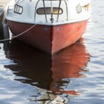 Vindskedekapsler: Hvad de er, og hvorfor de er vigtige for dit tag