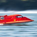 Sorghum: Den nye guldgrube for landmænd og fødevareproducenter