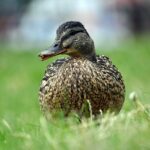 Arbejdsglæde i 2024: Fem tips til et bedre arbejdsliv