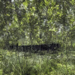 Pergo revolutionerer dampspærrer med ny teknologi